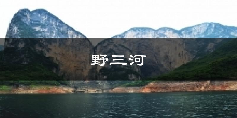 野三河气温