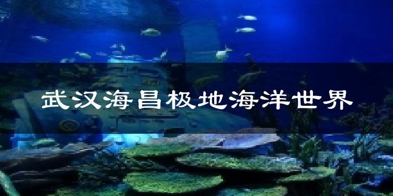 武汉海昌极地海洋世界气温