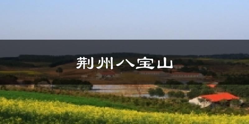 荆州八宝山气温