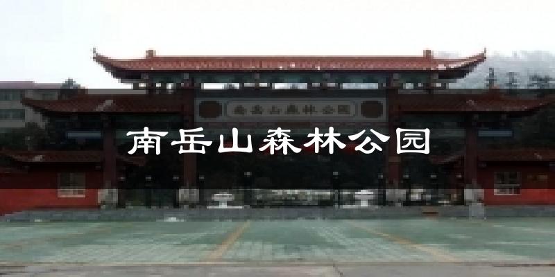 南岳山森林公园气温