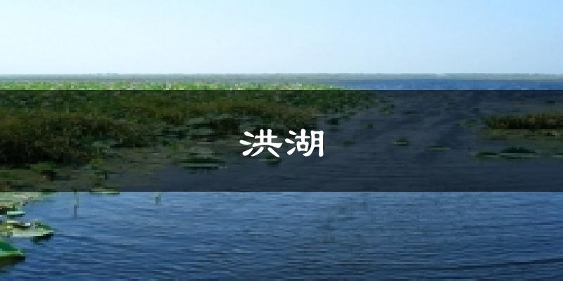 洪湖气温