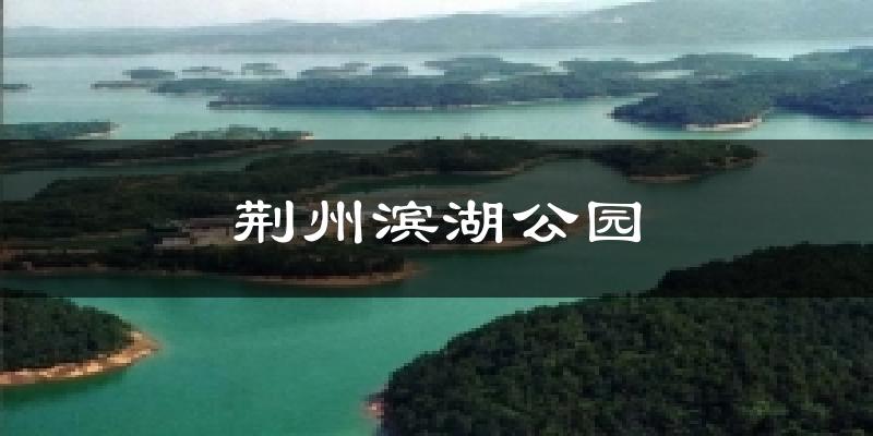 荆州滨湖公园气温