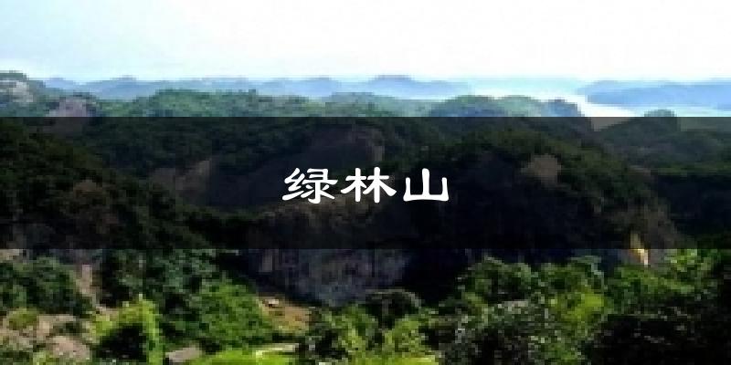 绿林山气温